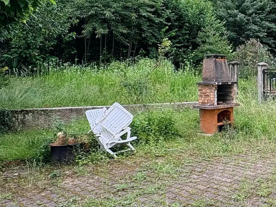 Jardin envahi par les herbes hautes avant l'intervention